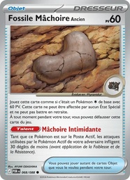 Fossile Mâchoire Ancien 068/88 Reverse