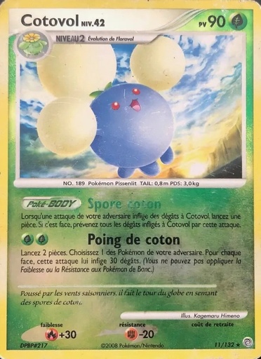 Cotovol 11/132 Holo
