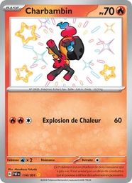 Charbambin 114/91 Holo