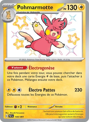 Pohmarmotte 144/91 Holo