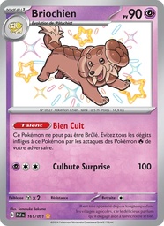 Briochien 161/91 Holo
