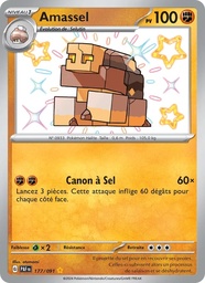 Amassel 177/91 Holo