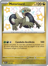 Motorizard 195/91 Holo