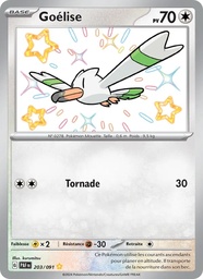 Goélise 203/91 Holo