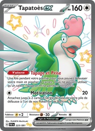 Tapatoès-ex 223/91 Holo