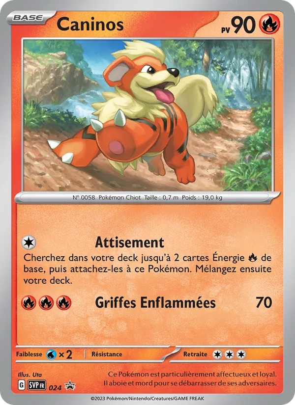 Caninos 024/225 - SVP Black Star Promos - Holo Cosmos - Pokémon JCC