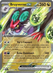 Bruyverne-ex 153/193 Holo