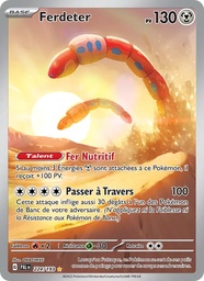 Ferdeter 224/193 Holo