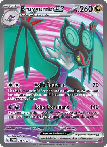Bruyverne-ex 246/193 Holo