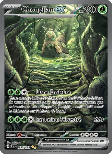 Chongjian-ex 257/193 Holo