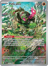 Félicanis 074/64 Holo