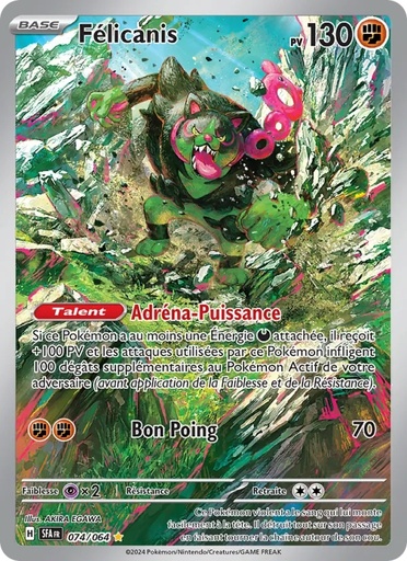 Félicanis 074/64 Holo