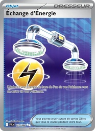 Échange d'Énergie 107/84 Holo