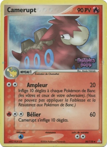 Camérupt 36/110