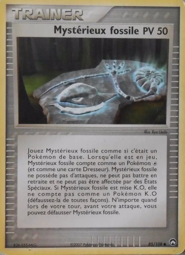 Mystérieux fossile 85/108