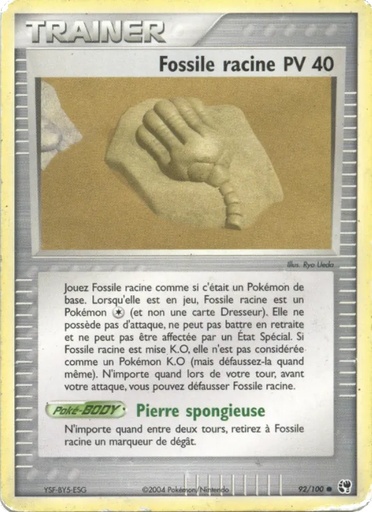 Fossile racine 92/100