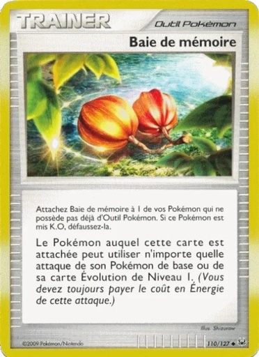 Baie de mémoire 110/127