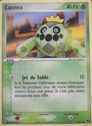 Cacnea 13/17